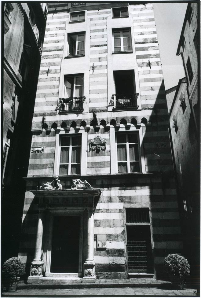 zebra building