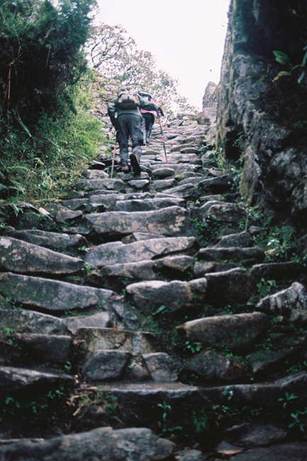 Inca trail
