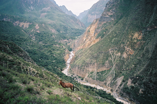colca canyon