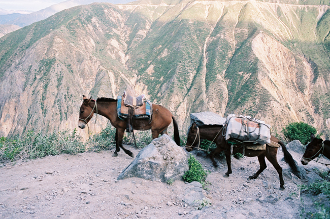 colca canyon
