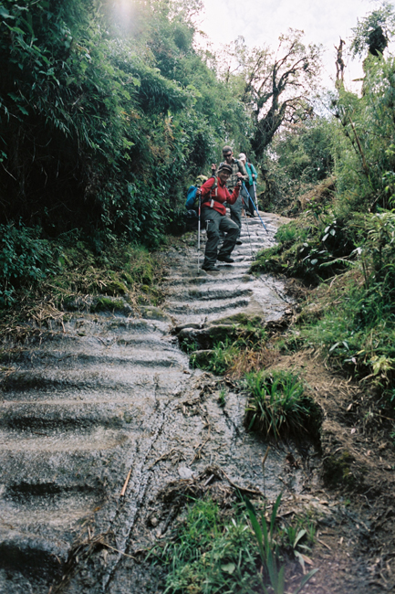 Inca trail
