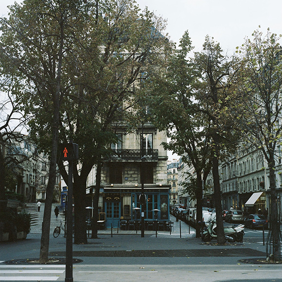 building and trees