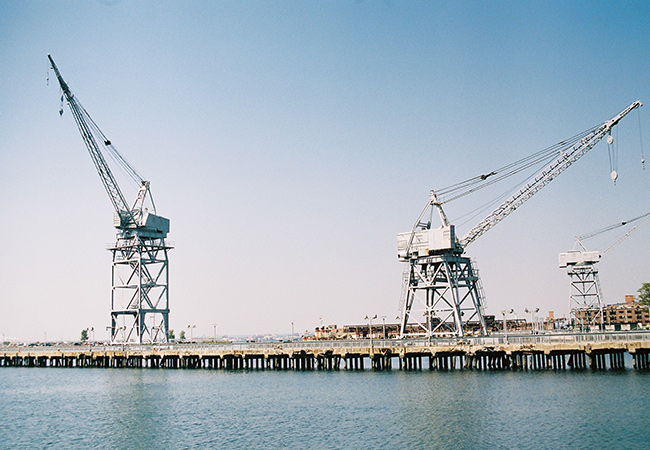 red hook
